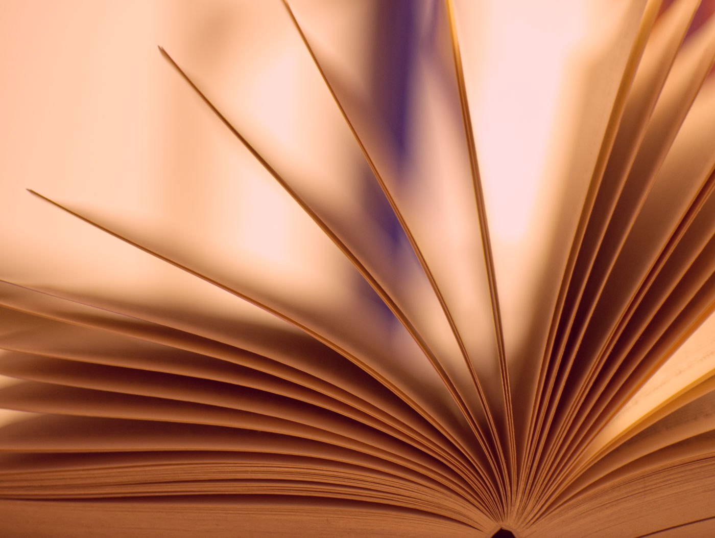 Book pages opened like a fan