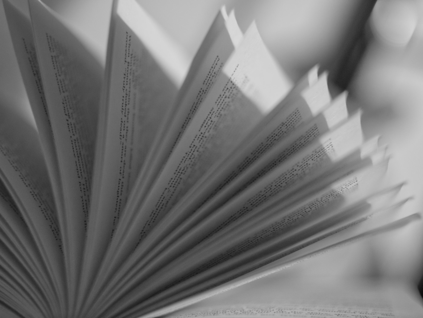 Book pages opened like a fan